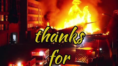 The last fly of Flight 365