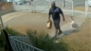 😱🐶 Delivery Guy Fails to Notice the Dog Initially! | FunFM
