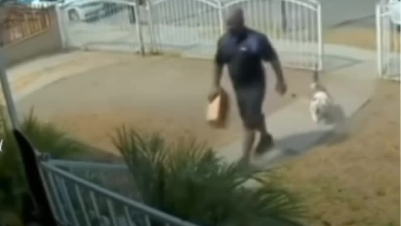😱🐶 Delivery Guy Fails to Notice the Dog Initially! | FunFM