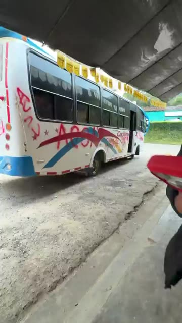Buses Cáchira