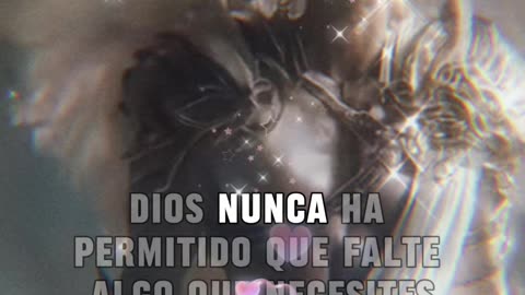 REFLEXIONES 💫 🤍 💫 🤍 💫 🤍 💫 🤍 💫 🤍 💫 🤍 💫