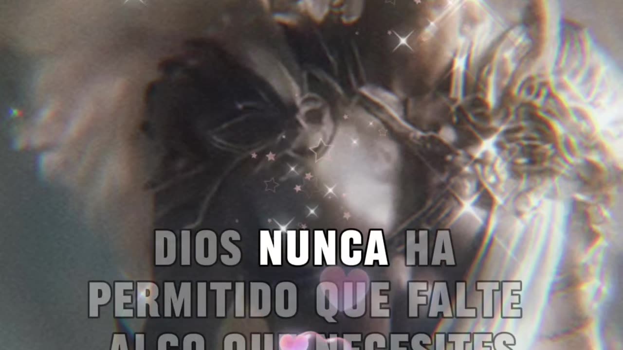 REFLEXIONES 💫 🤍 💫 🤍 💫 🤍 💫 🤍 💫 🤍 💫 🤍 💫