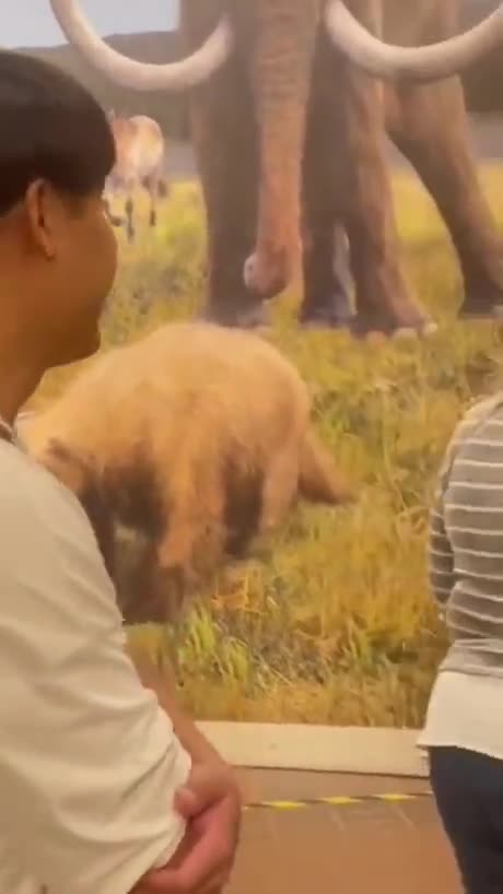 Bro just found his direct ancestor.💀