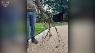 Weird and Freaky Video Clips ..