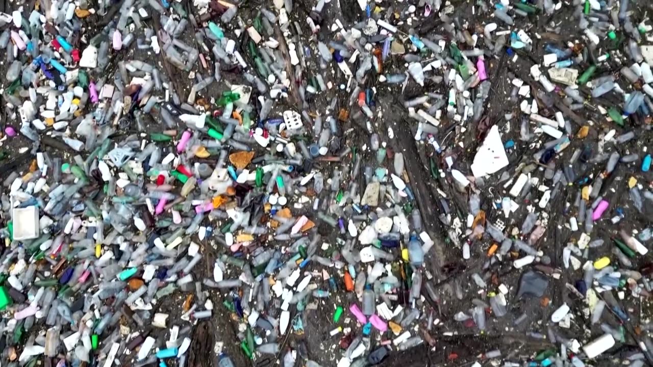 Could Japan's ocean-safe invention be the future of plastics?