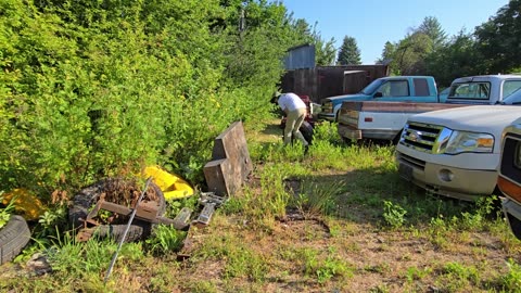 Discovers His Cars After 20 Years – WTR662319QJ #PlantifyLifeUS #OvergrownFinds