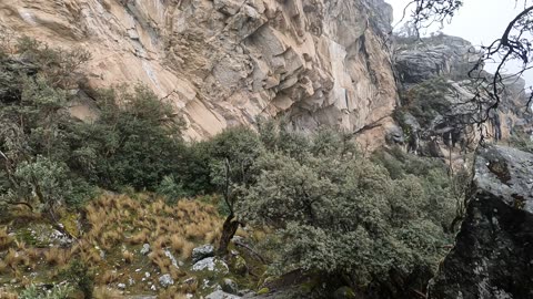 Exploring the forest near Churup Lagoon #Huaraz #Andes #Mountains