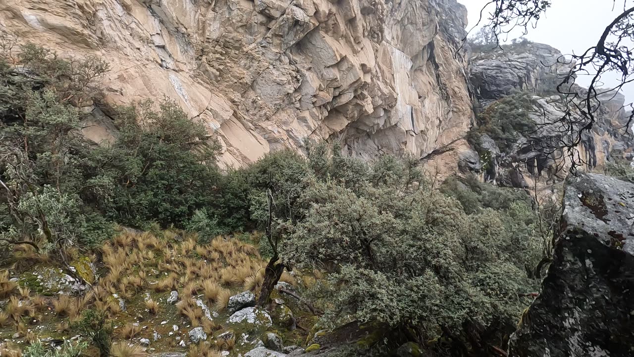 Exploring the forest near Churup Lagoon #Huaraz #Andes #Mountains