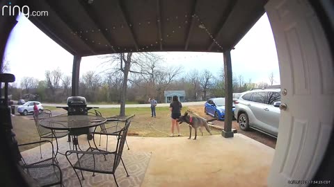 Dog Zoomies Topple Girl