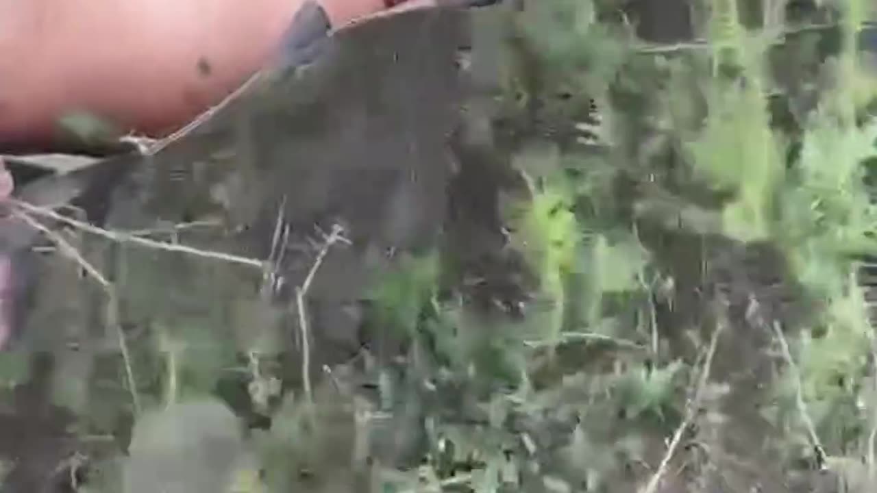 🤙 The morning started off brightly