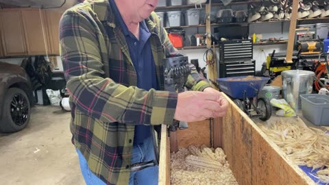 Shelled Corn production for 2025