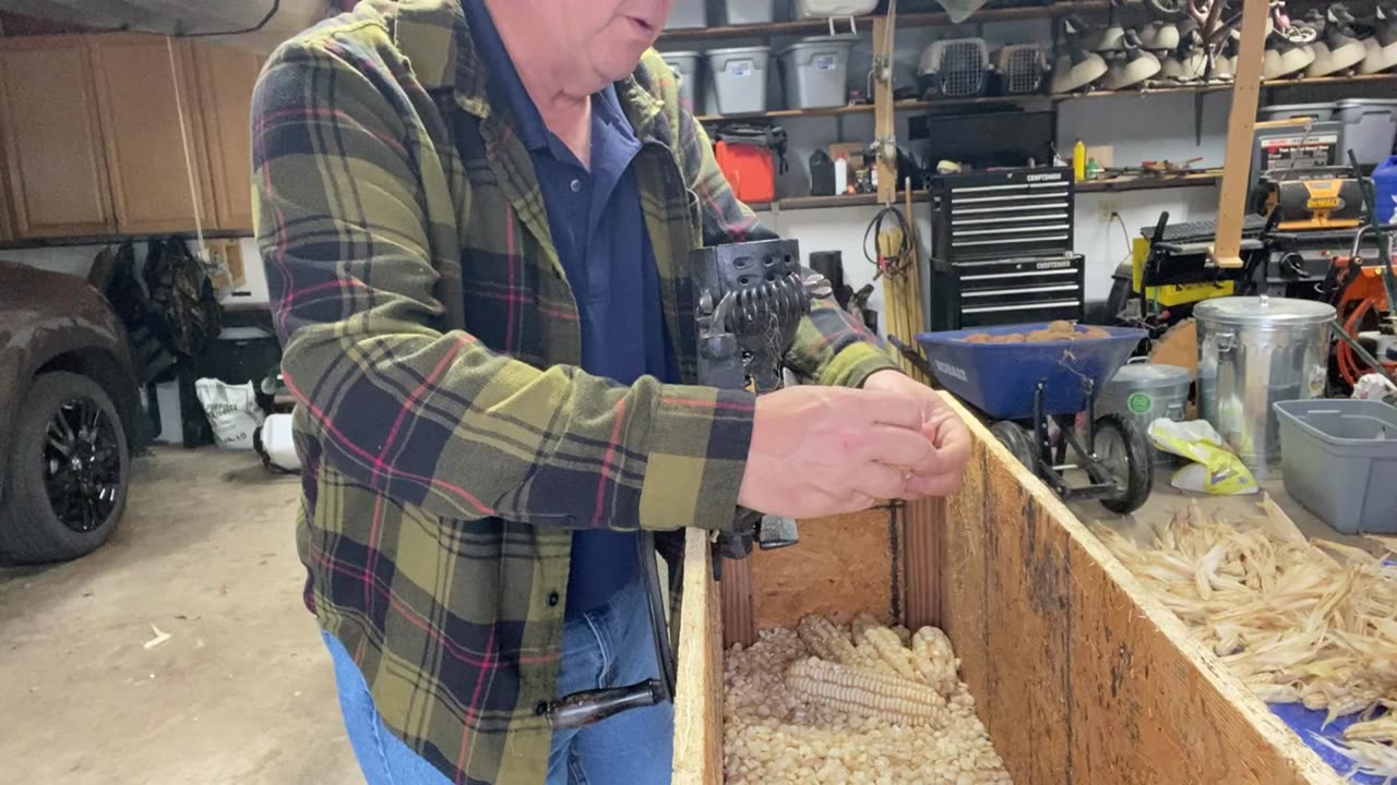 Shelled Corn production for 2025