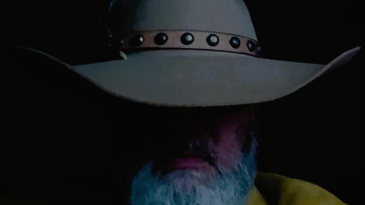 The Cow Goes Moo (An Original Song)