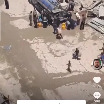 Palliwood in Action.