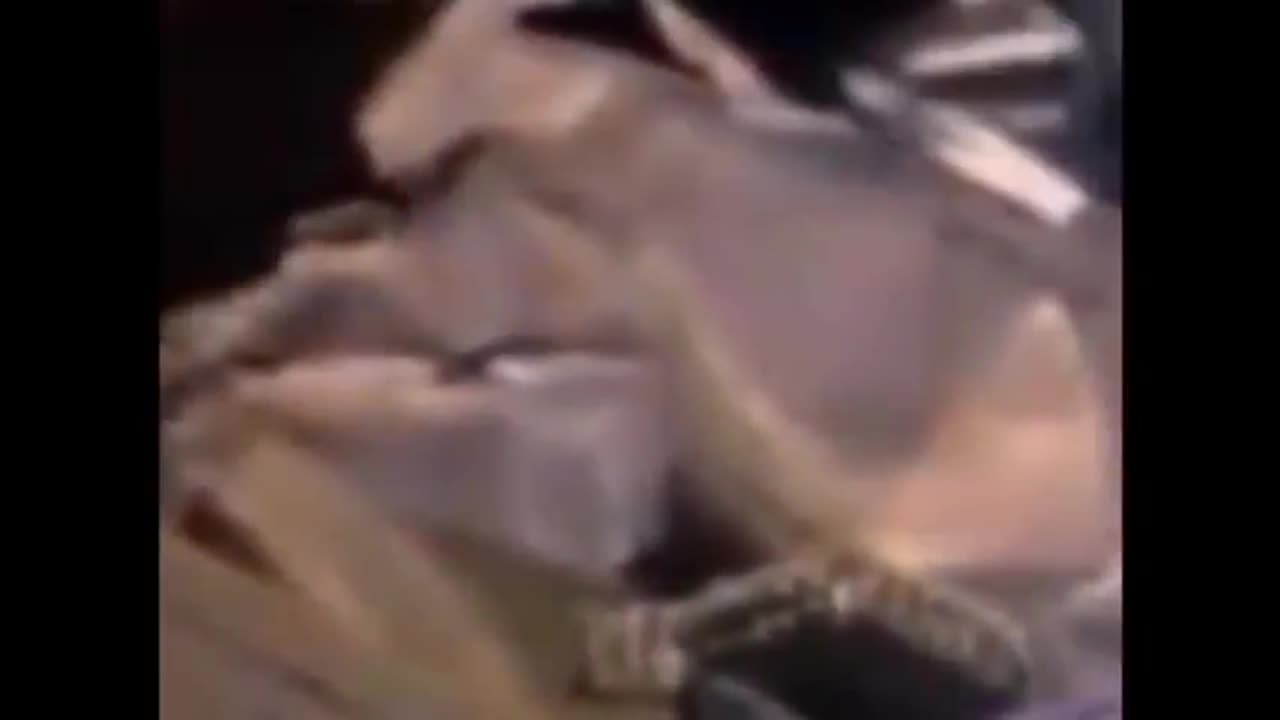 THE ASTEROID & ALIEN DECEPTION HOAX