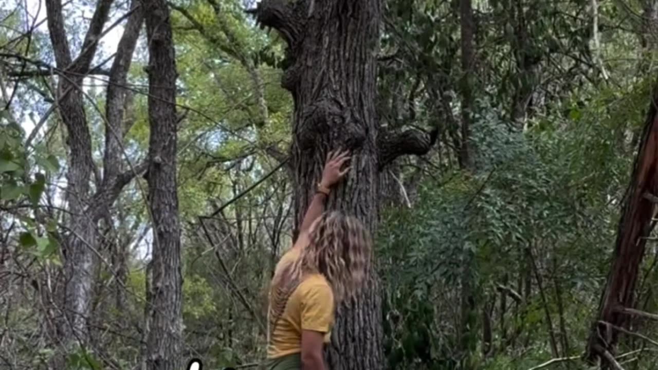 Tree Climber AllisonWanderland3 Part 2