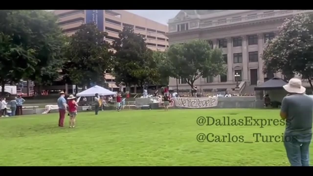 Dallas Anti July 4th Rally protest crowd