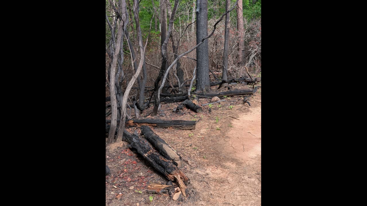 Aftermath Of Hurricane Helene And A Wildfire At Table Rock