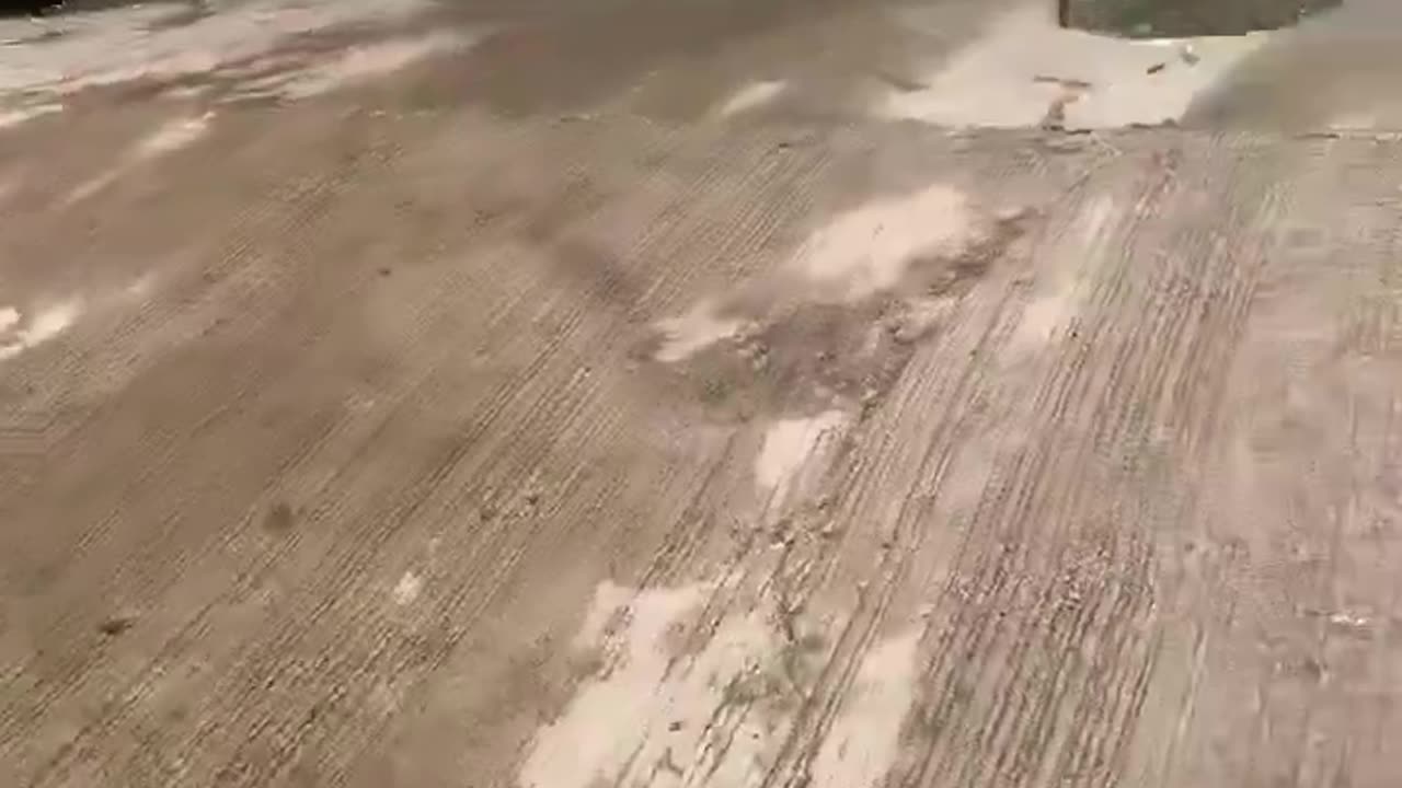 Would you dare to do this?