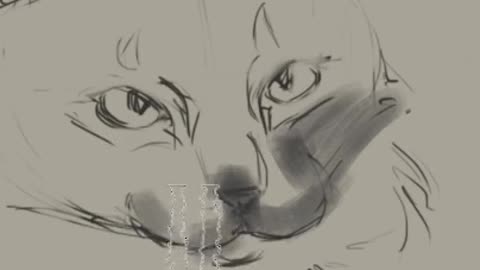 Digital Art Practice - Kitty