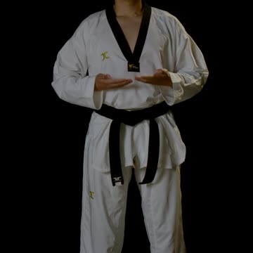 Bow of a black belt karate fighter