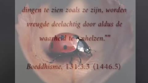 De dingen zien zoals ze zijn