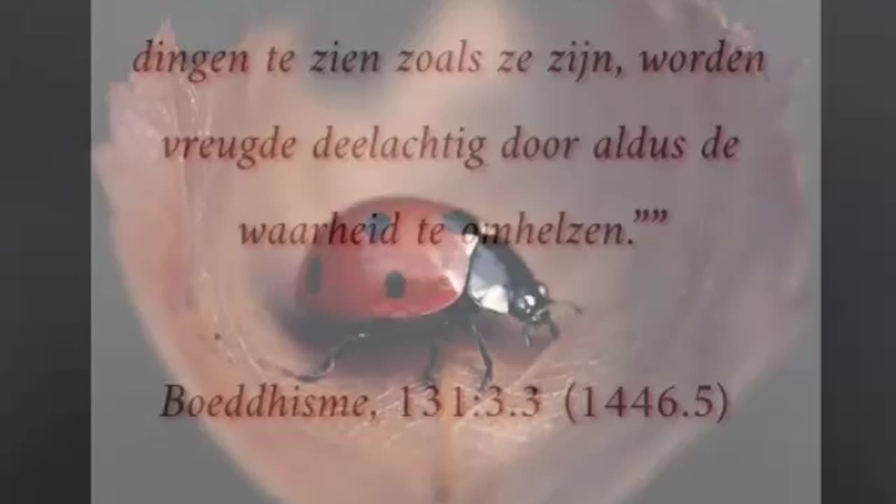 De dingen zien zoals ze zijn