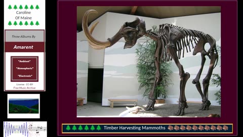 Music, Mammoths, Gaming