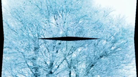 Shimla hidden places 📍