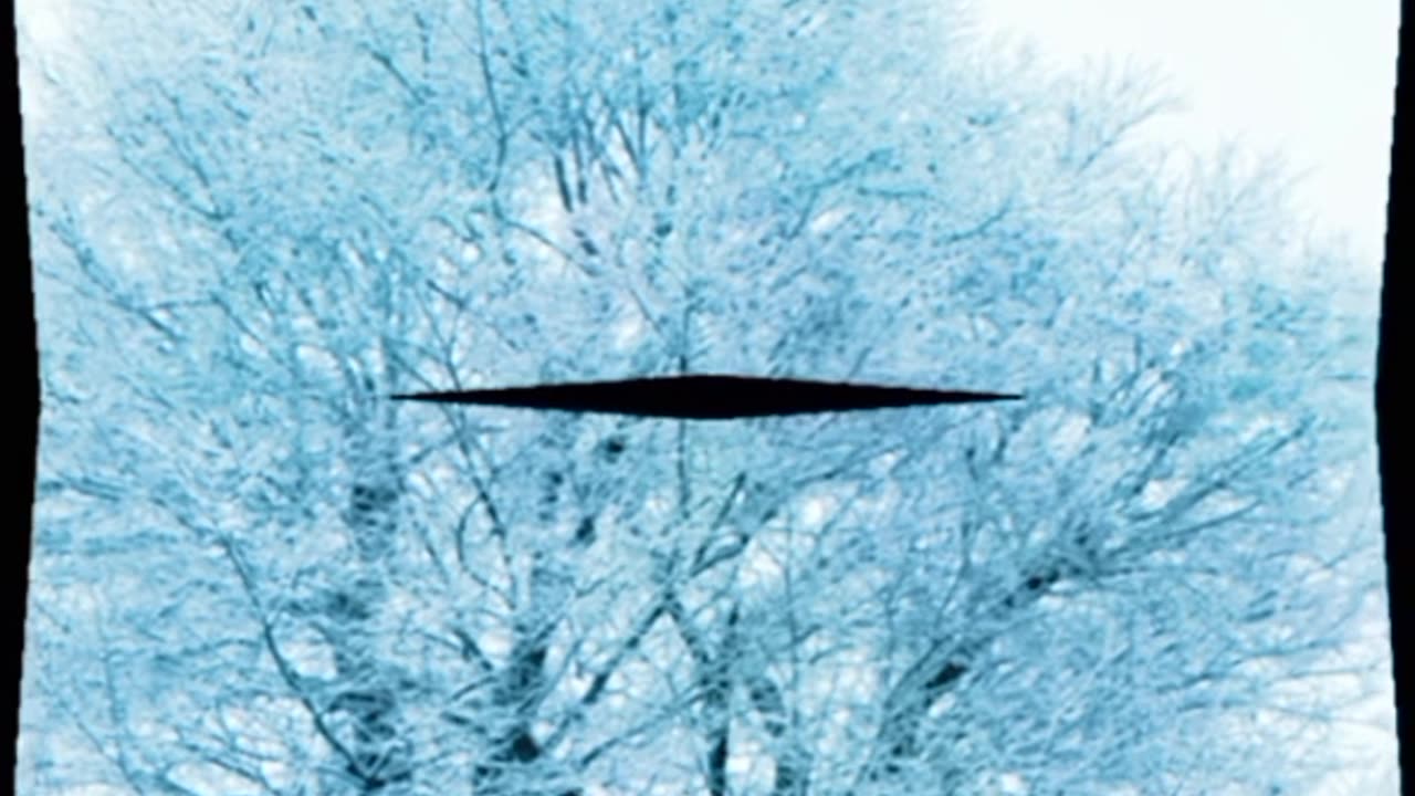 Shimla hidden places 📍