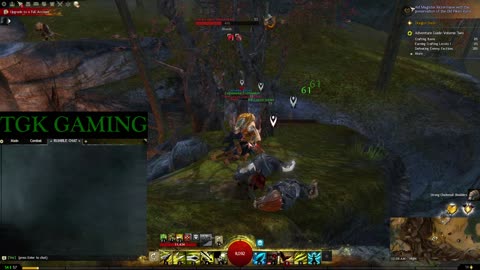 Guild Wars 2 - Day 5: Questing and Leveling