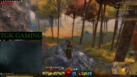 Guild Wars 2 - Day 5: Questing and Leveling