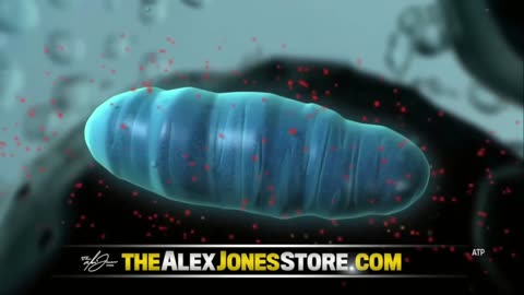 INFOWARS LIVE - 5/1/25: The American Journal with Harrison Smith / The Alex Jones Show / The War Room With Owen Shroyer
