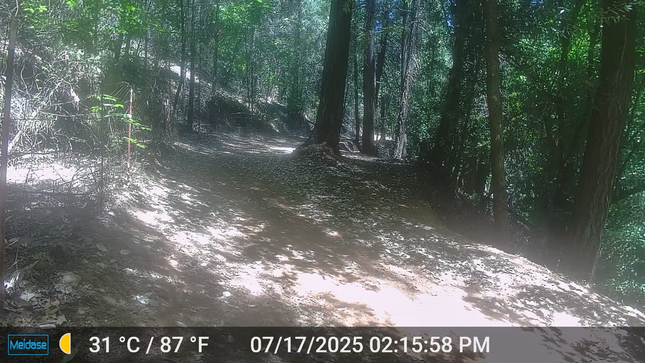 Young Mama Bear with her Little Cub