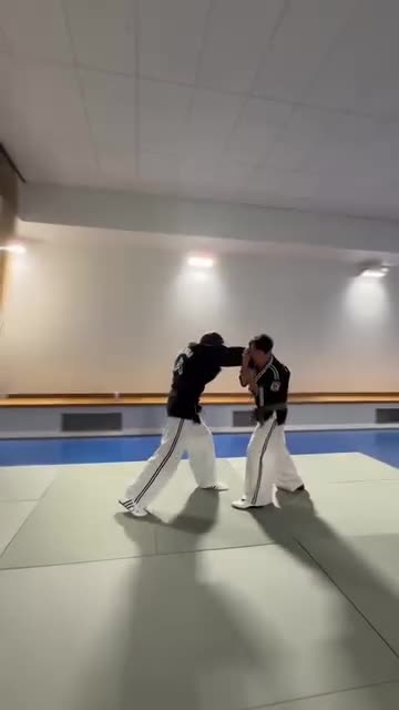 Hapkido