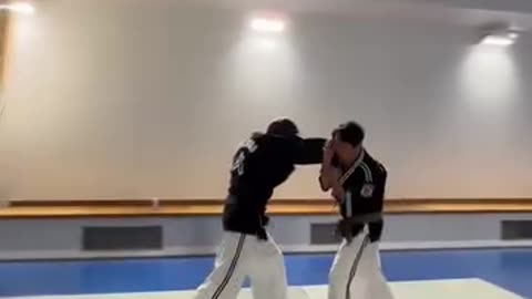 Hapkido