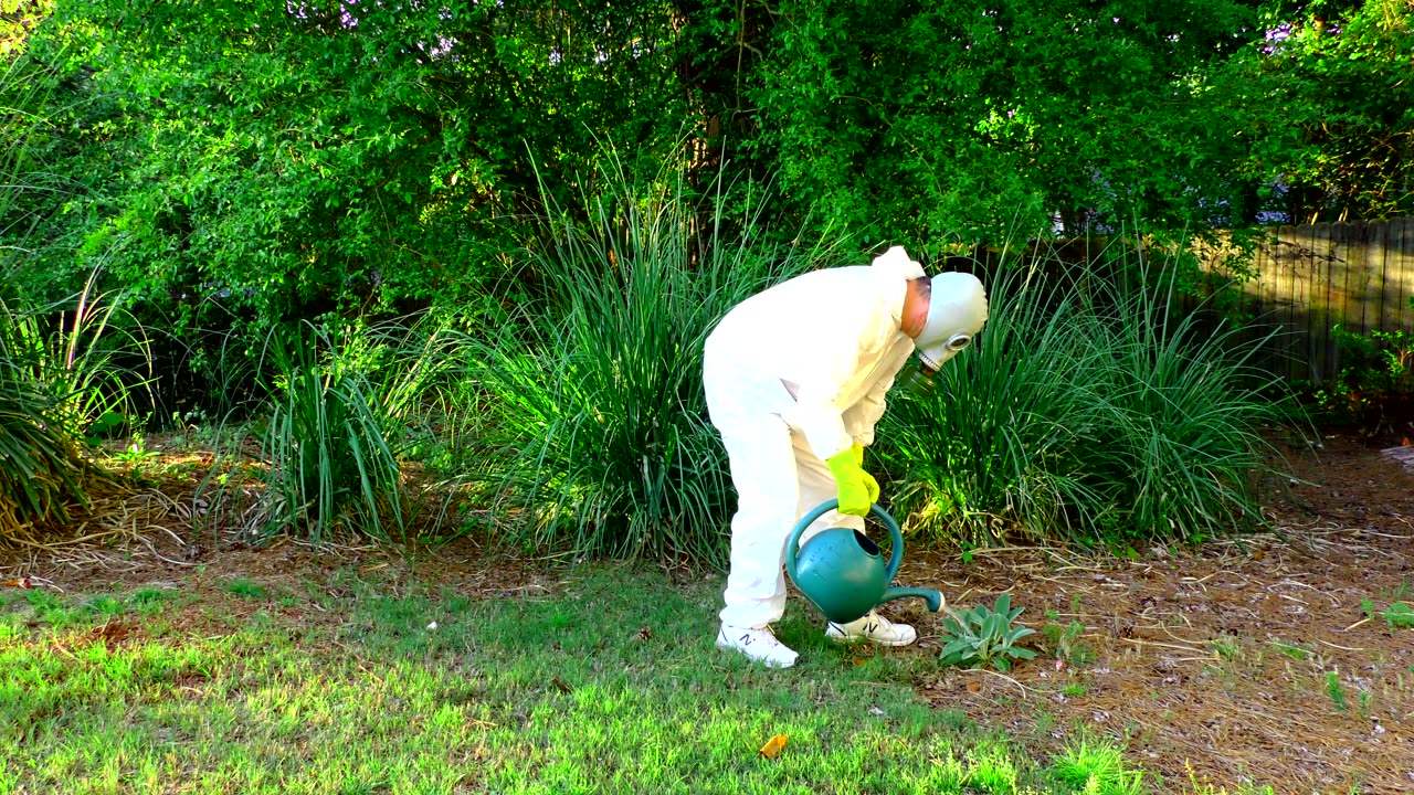 My Flower Love Drama