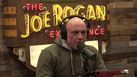 Family Friendly Joe Rogan Experience #2443 - Filippo Biondi