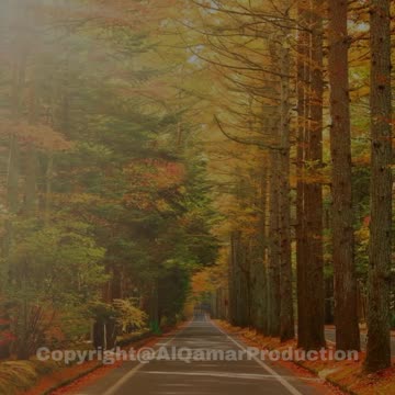 Surah Al-Waqia (54-61) | Reflect on Life, Death & The Power of Your Creator | Soothing Recitation