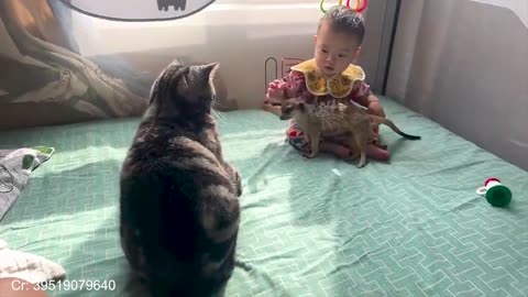 99.9% Can’t Handle the Cuteness 😍Baby Found His Best Friend