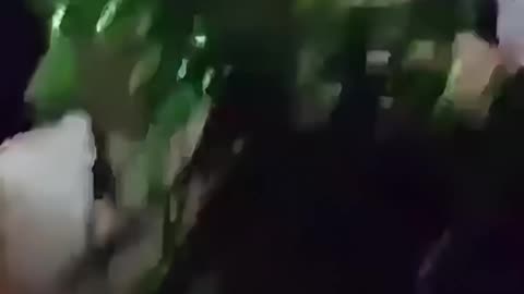 Thug scores a surprise party