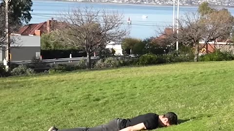 How animals get over a fence 😂 #animalsshorts #shorts #animalspets #viral