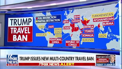 Trump's travel bans are 'common sense restrictions,' Tammy Bruce says