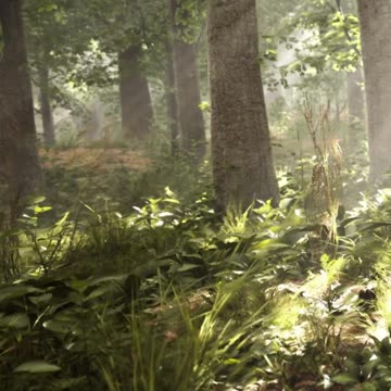 Engaging & Inspiring Video 5/28/2025