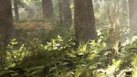 Engaging & Inspiring Video 5/28/2025