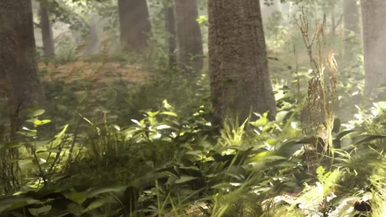 Engaging & Inspiring Video 5/28/2025
