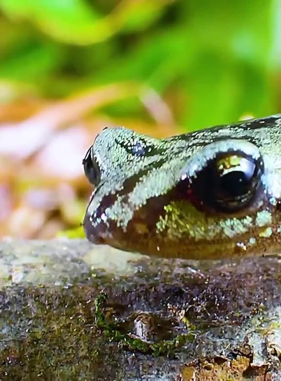 I believe I can fly🧐