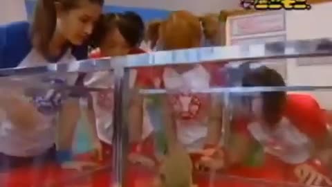 😂 The Most Famous Japanese Show You've Never Seen! | FunFM