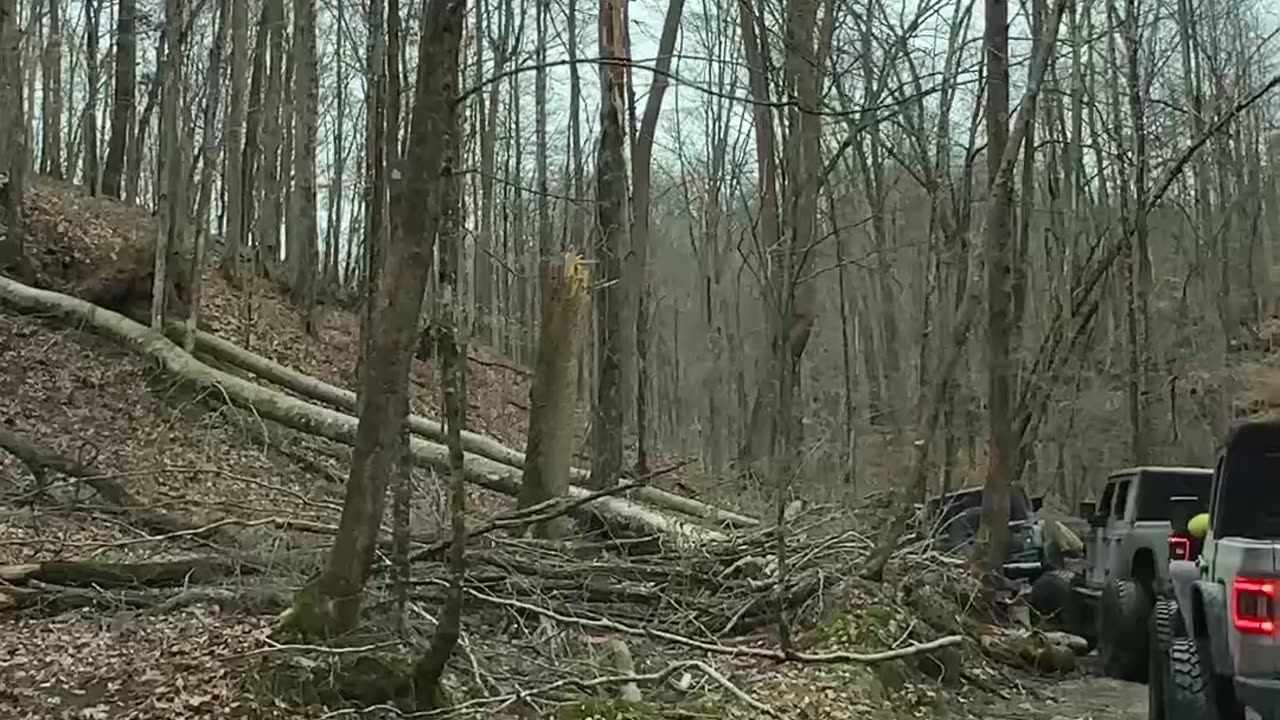 Off-Roading Adventure Deep in the Muddy Woods 2l #jeep #jeepwrangler #offroad