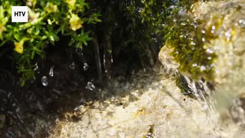 Discover the Secret Wonders of Our Planet